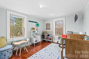 271 Pisgah View Rd, Asheville, NC 28806 - Photo 21