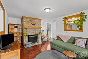 271 Pisgah View Rd, Asheville, NC 28806 - Photo 13