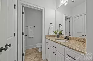 252 Milford Cir, Mooresville, NC 28117 - Photo 27