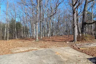 4612 Dallas Cherryville Hwy, Bessemer City, NC 28016 - Photo 3