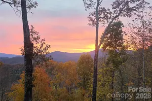 121 Stoney Falls Loop, Burnsville, NC 28714 - Photo 39