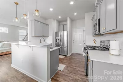 521 Silers Bald Drive, Fort Mill, SC 29715 - Photo 17