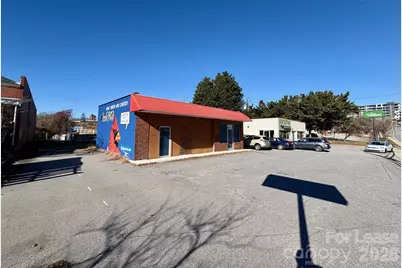 233 Biltmore Avenue, Asheville, NC 28801 - Photo 3