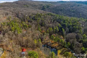 55 Valley Ln, Pisgah Forest, NC 28768 - Photo 45