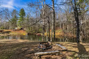 55 Valley Ln, Pisgah Forest, NC 28768 - Photo 39