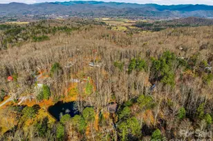 55 Valley Ln, Pisgah Forest, NC 28768 - Photo 43