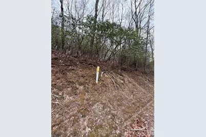 Tbd Tsisqua Circle #66/05, Brevard, NC 28712 - Photo 3