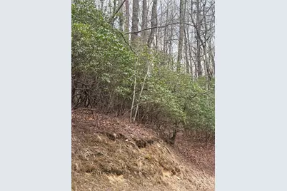 Tbd Tsisqua Circle #66/05, Brevard, NC 28712 - Photo 5