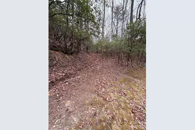 Tbd Tsisqua Circle #66/05, Brevard, NC 28712 - Photo 1