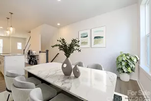 1132 Bismuth Ln, Charlotte, NC 28211 - Photo 3