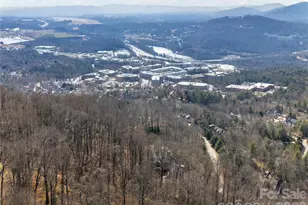 434 Coopers Hawk Dr, Asheville, NC 28803 - Photo 45