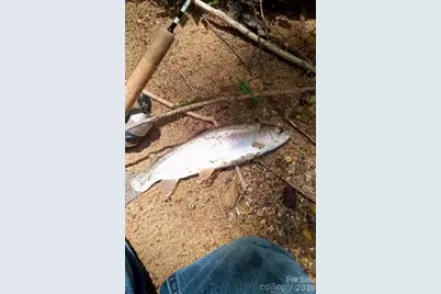 110 South Fork Trail #10, Lake Toxaway, NC 28747 - Photo 43