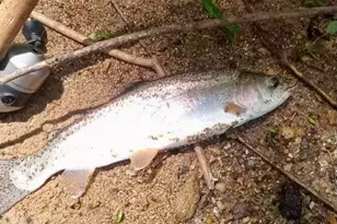 110 S Fork Trl, Lake Toxaway, NC 28747 - Photo 43