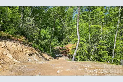 110 South Fork Trail #10, Lake Toxaway, NC 28747 - Photo 25