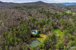 15 Goldfinch Ct, Brevard, NC 28712 - Photo 47