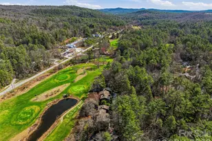 15 Goldfinch Ct, Brevard, NC 28712 - Photo 45