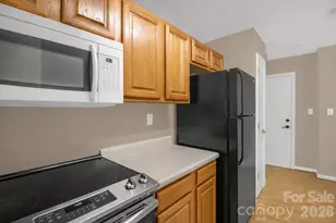 9849 Campus Walk Ln, Charlotte, NC 28262 - Photo 11