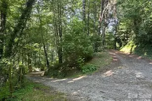 232 Heavenly Vw Dr, Sylva, NC 28779 - Photo 23