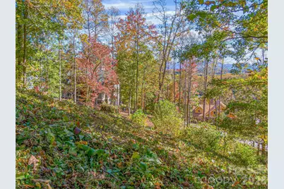 17 Denali Drive #V-108, Asheville, NC 28806 - Photo 3
