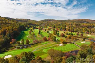 303 Golfside Dr, Flat Rock, NC 28731 - Photo 45