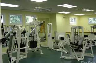 303 Golfside Dr, Flat Rock, NC 28731 - Photo 43