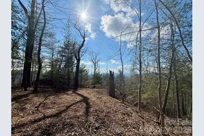 000 Rambling Ridge Road #16, Asheville, NC 28804 - Photo 11