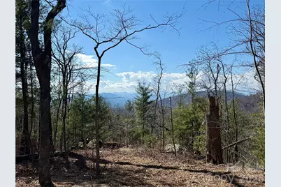 000 Rambling Ridge Road #16, Asheville, NC 28804 - Photo 3