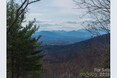 000 Rambling Ridge Road #16, Asheville, NC 28804 - Photo 1