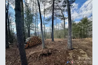 000 Rambling Ridge Road #16, Asheville, NC 28804 - Photo 9