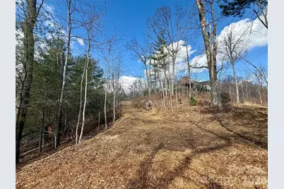 000 Rambling Ridge Road #16, Asheville, NC 28804 - Photo 7