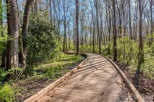 404 E Arch St, Lancaster, SC 29720 - Photo 37