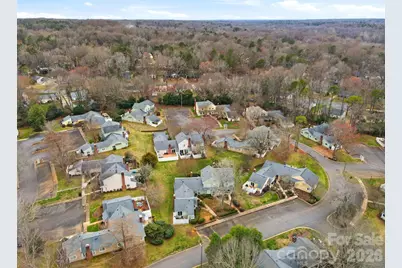 910 Sardis Cove Drive, Charlotte, NC 28270 - Photo 25