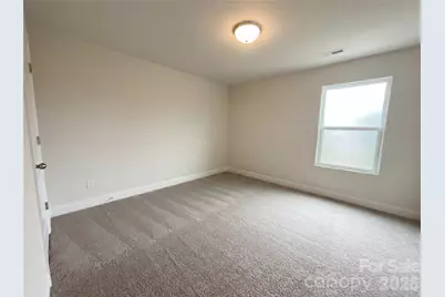 324 Praline Way, Fort Mill, SC 29715 - Photo 13