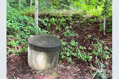 1019 Hudlin Gap Road, Pisgah Forest, NC 28768 - Photo 23