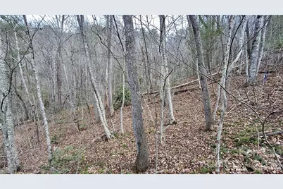 0 Hollywalk Trail #4, Sylva, NC 28779 - Photo 15