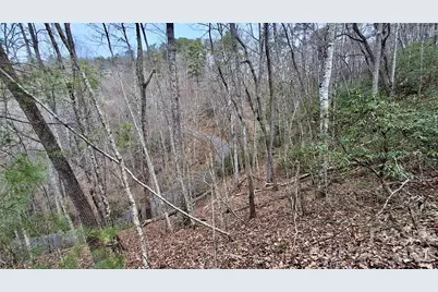 0 Hollywalk Trail #4, Sylva, NC 28779 - Photo 9