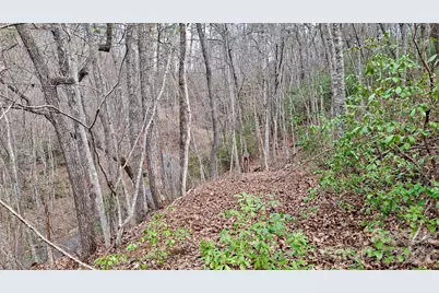 0 Hollywalk Trail #4, Sylva, NC 28779 - Photo 11