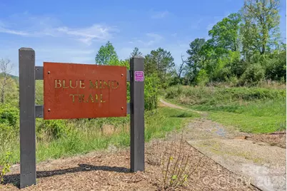 13 Tulip Poplar Trail, Asheville, NC 28804 - Photo 43