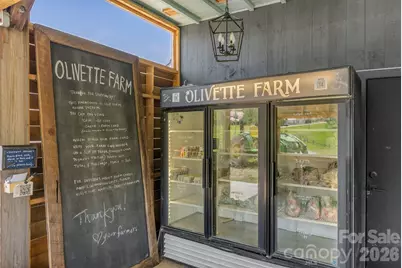 13 Tulip Poplar Trail, Asheville, NC 28804 - Photo 41