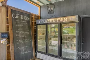 13 Tulip Poplar Trl, Asheville, NC 28804 - Photo 41