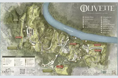 13 Tulip Poplar Trail, Asheville, NC 28804 - Photo 39