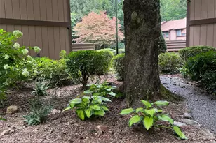 37 George Cir, Maggie Valley, NC 28751 - Photo 5