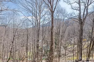 37 George Cir, Maggie Valley, NC 28751 - Photo 41