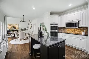 3839 Mountain Cove Dr, Charlotte, NC 28216 - Photo 9