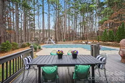 3839 Mountain Cove Drive, Charlotte, NC 28216 - Photo 11