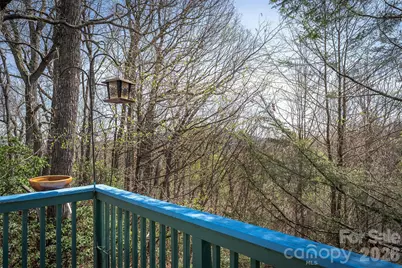 195 Prospectors Trail, Black Mountain, NC 28711 - Photo 33