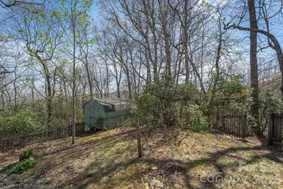 195 Prospectors Trail, Black Mountain, NC 28711 - Photo 47