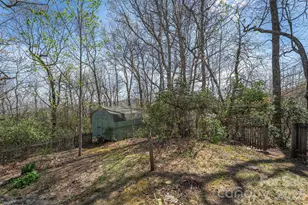 195 Prospectors Trl, Black Mountain, NC 28711 - Photo 47