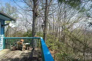 195 Prospectors Trl, Black Mountain, NC 28711 - Photo 29