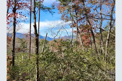 0 Sparrows Way #46, Lake Lure, NC 28746 - Photo 3